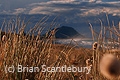 Papamoa beach