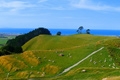 Papamoa regional park