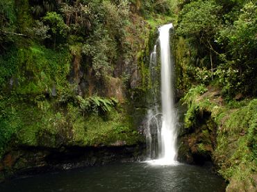 Visit Kaiate Falls